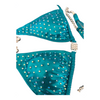 Turquoise Competition Bikini