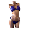 Eggplant Classic Posing Suit