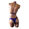 Eggplant Classic Posing Suit